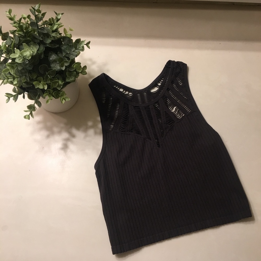 Express One Eleven Crop Top